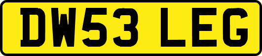 DW53LEG