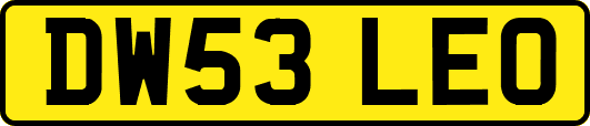 DW53LEO