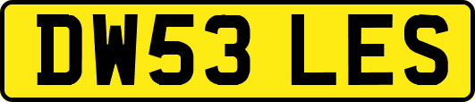 DW53LES