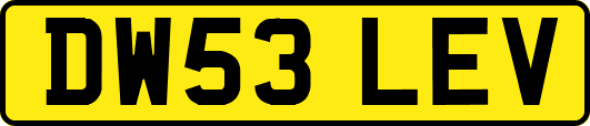 DW53LEV