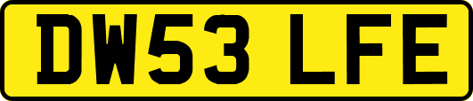 DW53LFE
