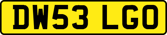 DW53LGO