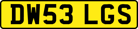 DW53LGS