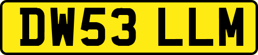 DW53LLM