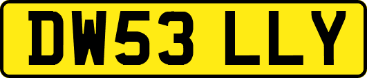 DW53LLY