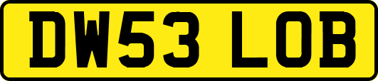 DW53LOB