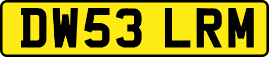 DW53LRM
