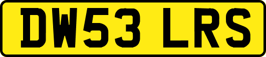 DW53LRS