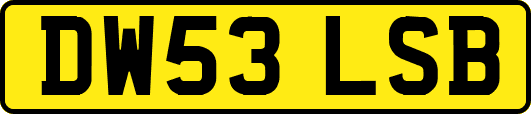 DW53LSB