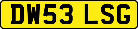 DW53LSG