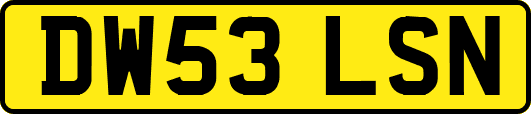 DW53LSN