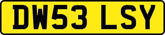 DW53LSY