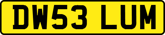 DW53LUM