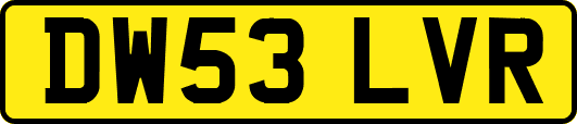 DW53LVR