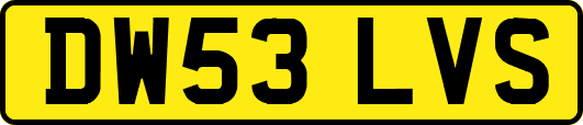 DW53LVS