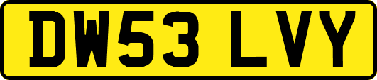 DW53LVY