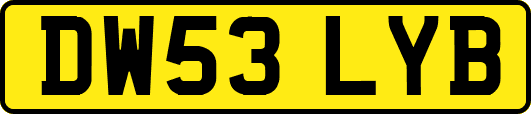 DW53LYB
