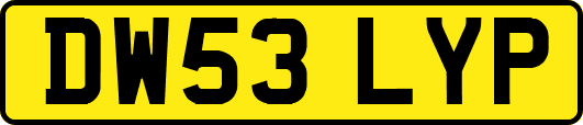 DW53LYP