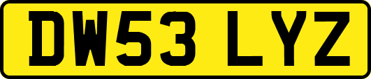 DW53LYZ