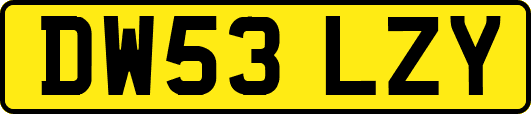 DW53LZY