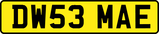 DW53MAE
