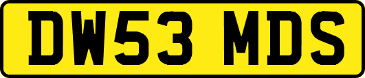 DW53MDS