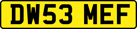 DW53MEF