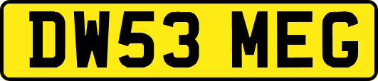 DW53MEG