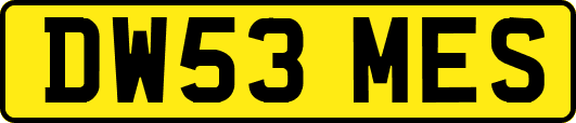 DW53MES