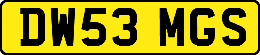 DW53MGS