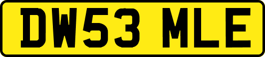 DW53MLE