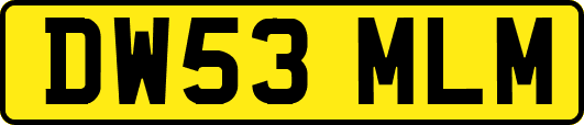 DW53MLM