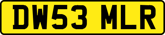 DW53MLR