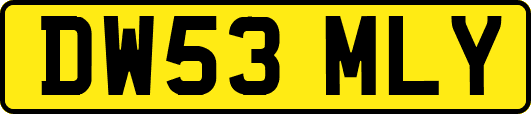 DW53MLY