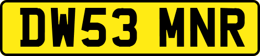 DW53MNR