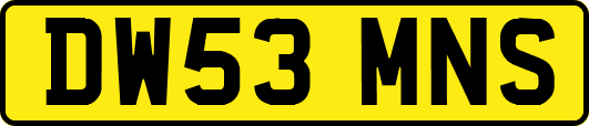 DW53MNS