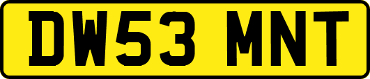 DW53MNT