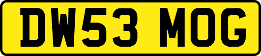 DW53MOG