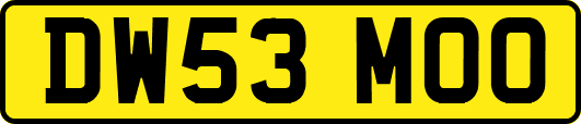 DW53MOO