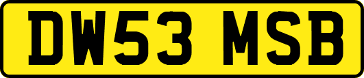 DW53MSB