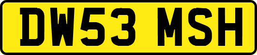 DW53MSH