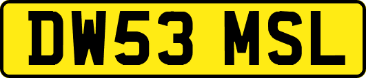 DW53MSL