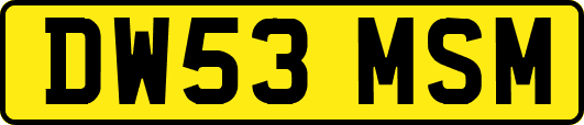 DW53MSM