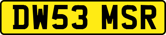 DW53MSR