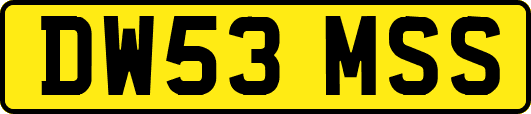 DW53MSS