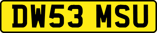 DW53MSU