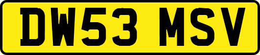 DW53MSV
