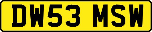 DW53MSW