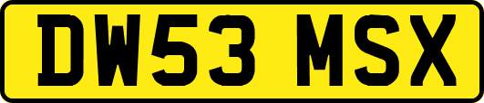 DW53MSX