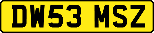 DW53MSZ